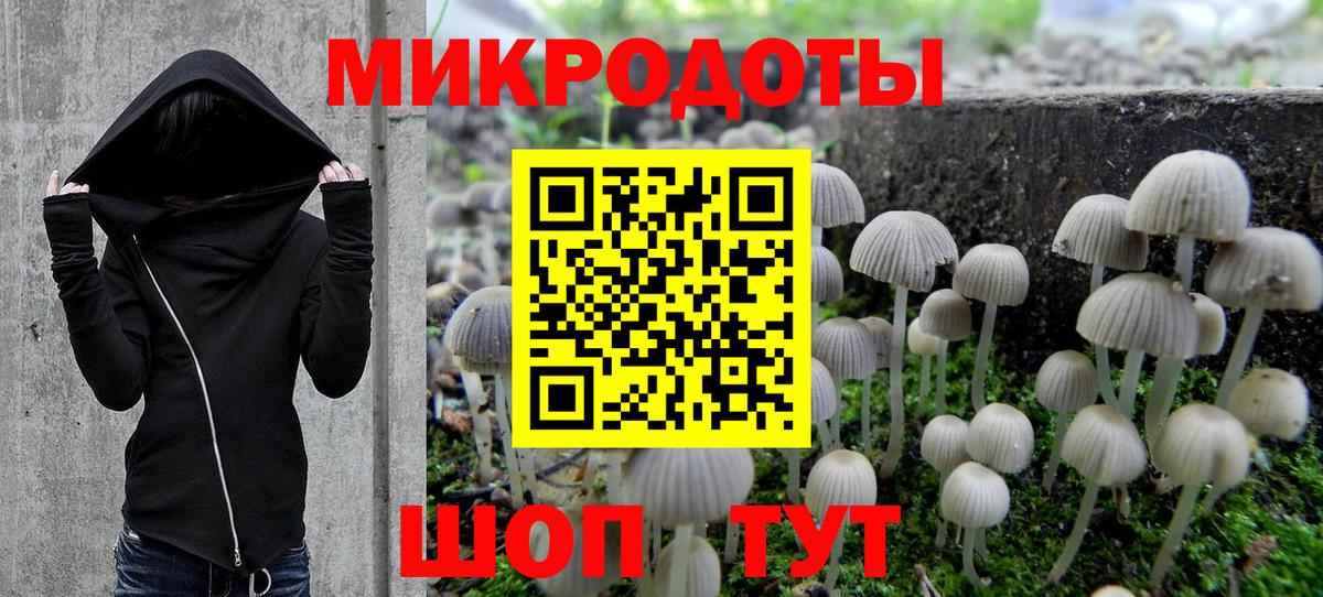 Галлюциногенные грибы мухоморы Черногорск