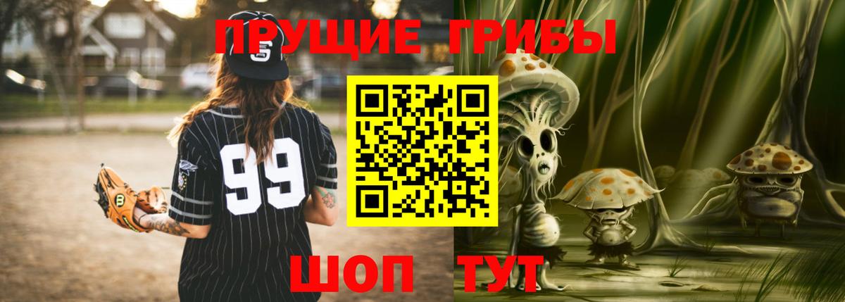 Черногорск  Псилоцибиновые грибы Cubensis  Вход с VPN 